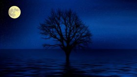 Calm_Blue_Night