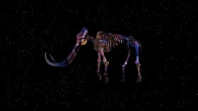 Rainbow_Mammoth