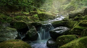 Small_Secluded_Stream
