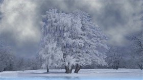Snowy_Wonderland