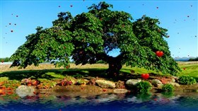Scenic Garden Pond_2