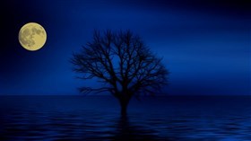 4K_Calm_Blue_Night