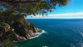 Ocean_Pines_View
