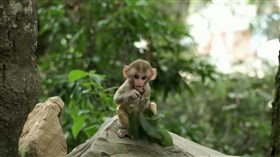 Sooo_Cute