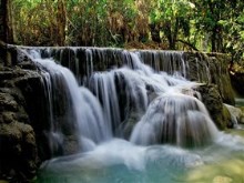 Laos_Forest_Falls