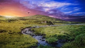 Eagle_Territory