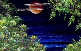 Moonrise