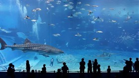 Aquarium
