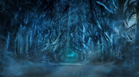 Enchanted Forest