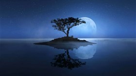Moon Tree