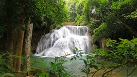 Jungle Falls