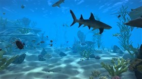 Sea World