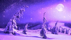 Purple Winter
