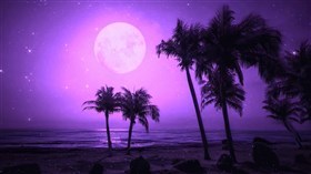 Purple Island