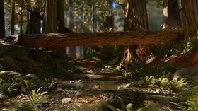 Forest Stream