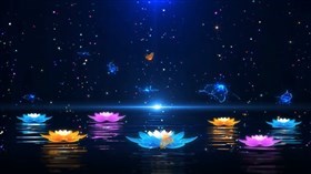 Colors of the Night