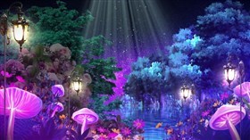 4K Enchanted Nights