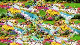 Water Garden