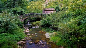 Rock Bridge River