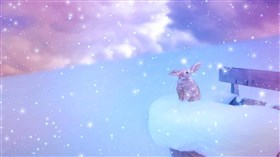 Winter Bunny