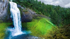 Forest Waterfall