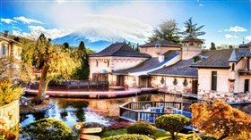Mt. Fuji