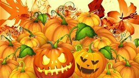 Pumpkin Patch
