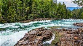 8K River Wild