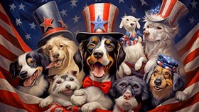 4K American Doggies