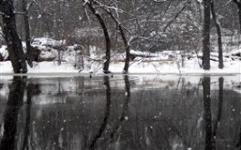 Winters reflections wallpaper