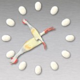 Rubber Chicken Clock