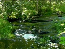 green stream