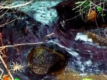 purple rock stream