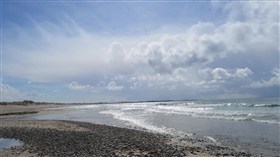 Norwegian Coast