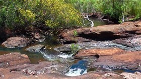 Outback Stream