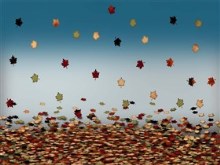 Leafdrop