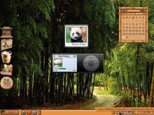 Bamboo Forest