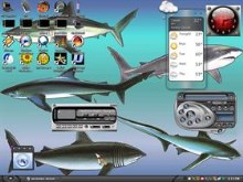 sharks