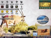 Lion killer