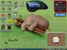 bad bear days