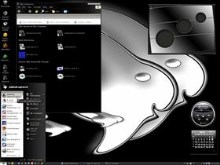 Inverted Inspirat Experiment