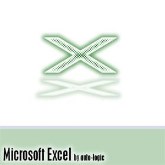 Microsoft Excel