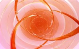 the coil