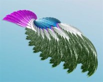 Ostrich Feather
