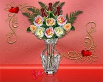 Valentine Roses