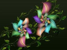 JuneBlooms