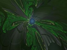 RainForrest Twist