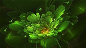 April Green Flower