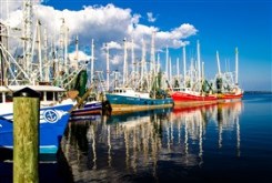 Docked Boats