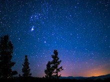 Trees and Starry Sky